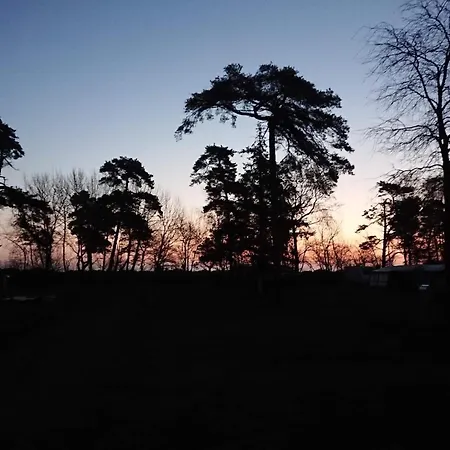 Bright With Garden Terrace-by Traum * Bøtø By