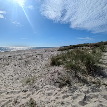 Bright With Garden Terrace-by Traum * Bøtø By