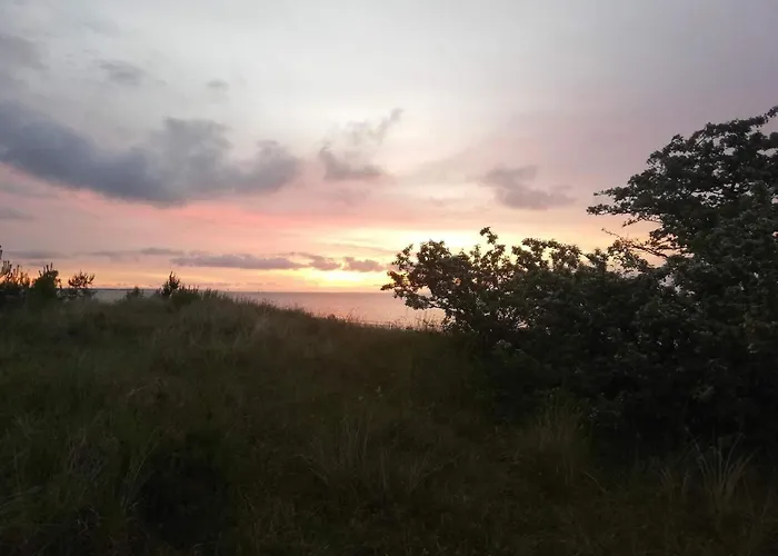 Bright With Garden Terrace-by Traum * Bøtø By