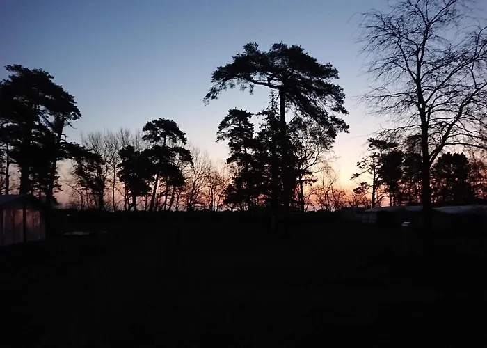 Bright With Garden Terrace-by Traum * Bøtø By