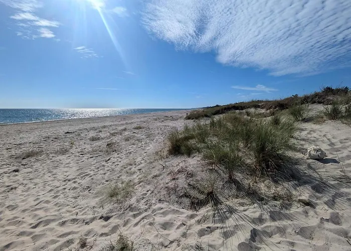 Bright With Garden Terrace-by Traum * Bøtø By