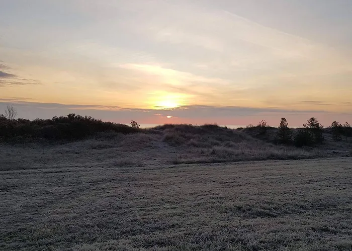 Bright With Garden Terrace-by Traum